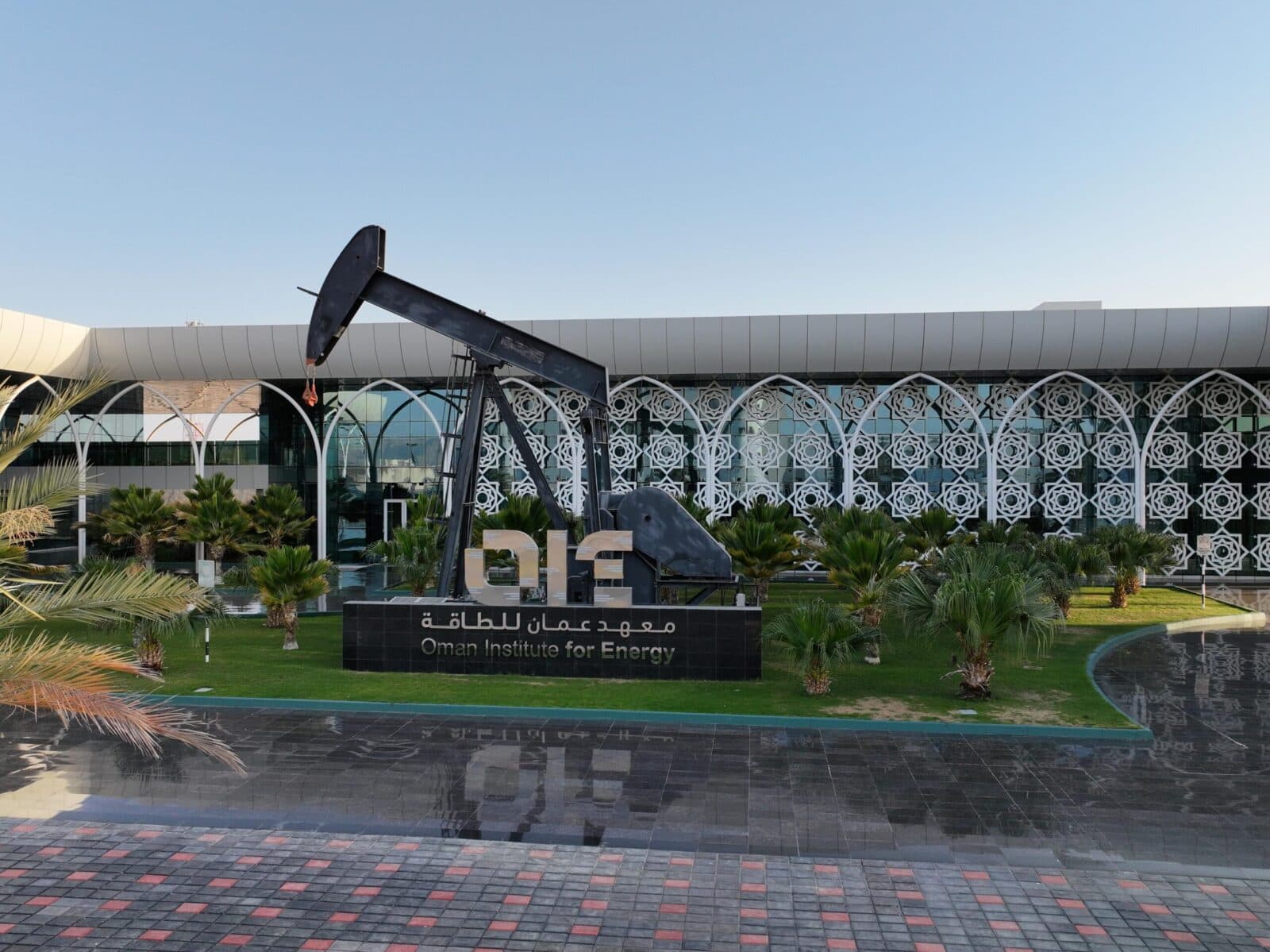 About OIE